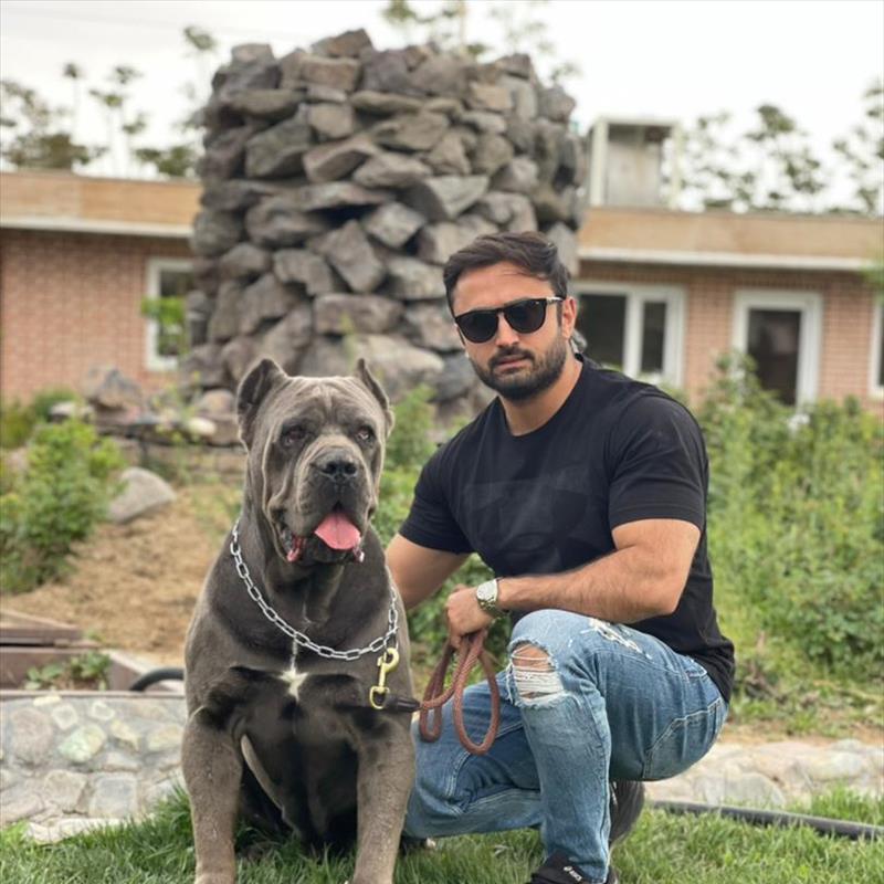 فروش توله های کن کورسو سر و کله درشت