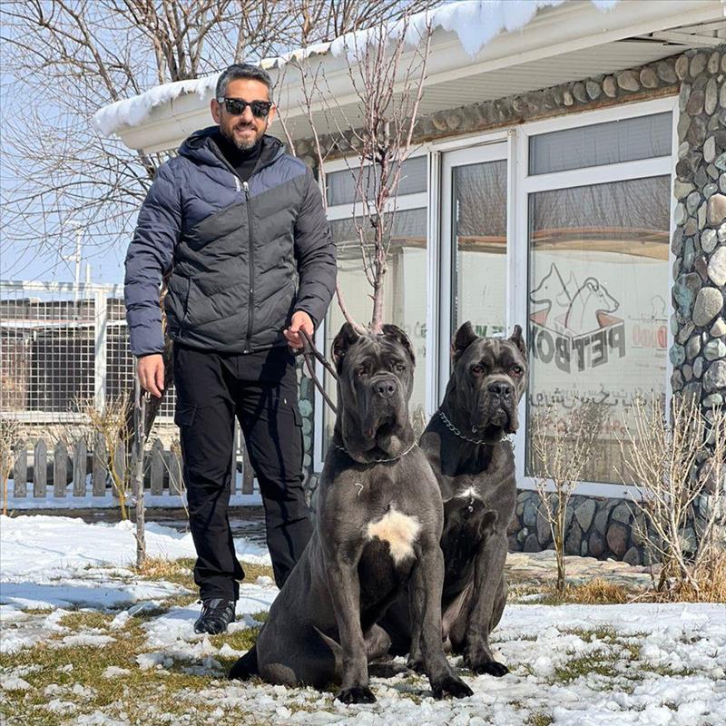 کنکورسو های بینطیر فقط در پتباکس