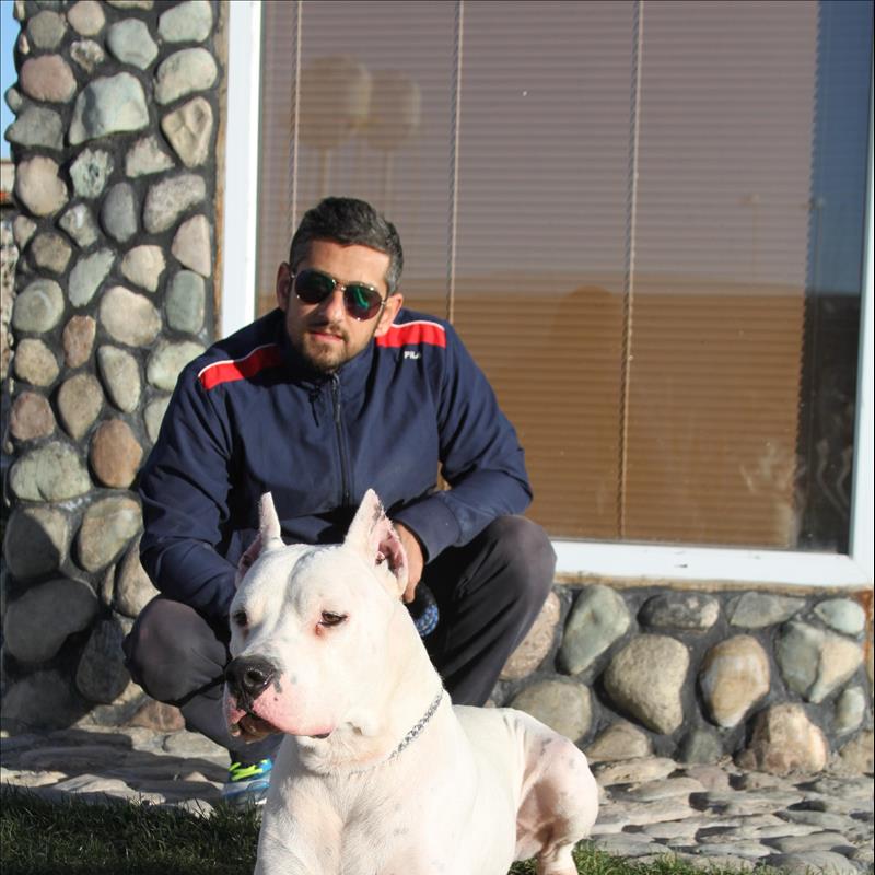 فروش  داگو آرژانتينو  نربالغ اصلحه سرد 