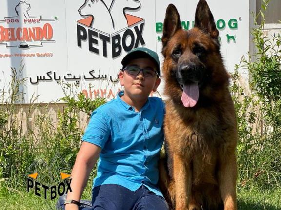 فروش توله های نگهبان ژرمن شپرد از بهترین مولد