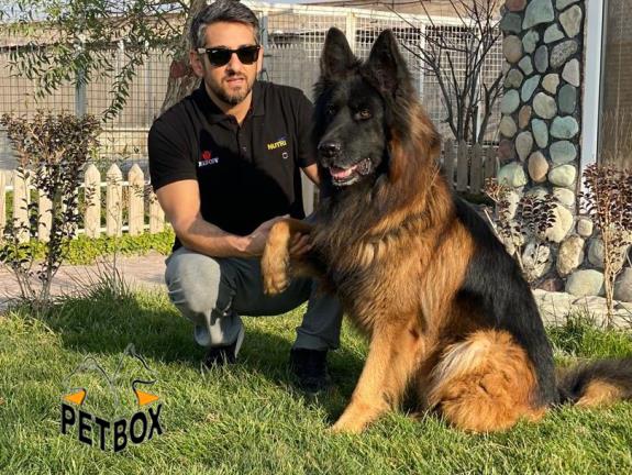 فروش توله های ژرمن شپرد مولد هیرو مو بلند 