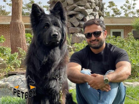 فروش  بلک ژرمن مو بلند