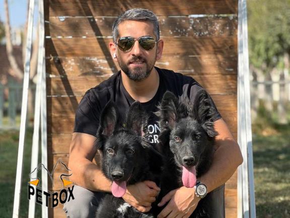 فروش بلک ژرمن با تخفیف ویژه
