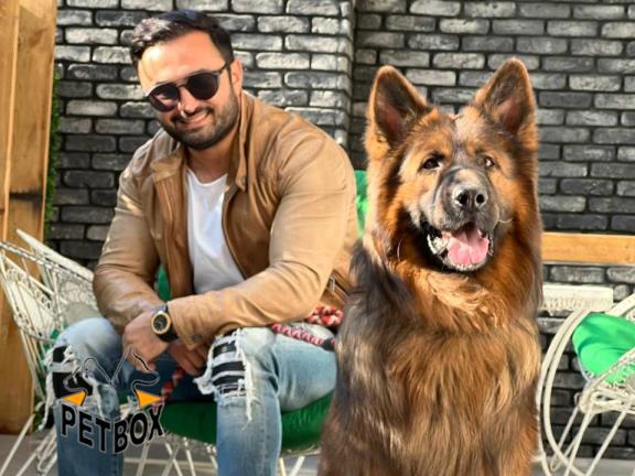 فروش ژرمنشپرد 1 ساله بالغ